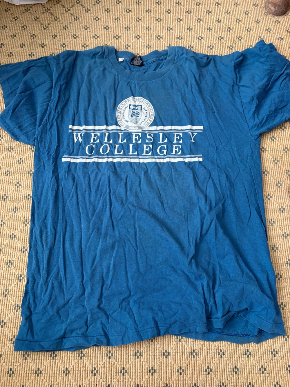 Jansport Blue Wellesley College Graphic Tee
